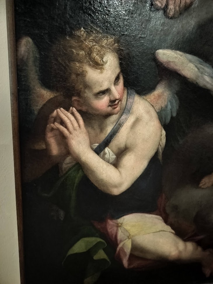 /images/bologna/excellent.jpg /images/bologna/excellent.jpg